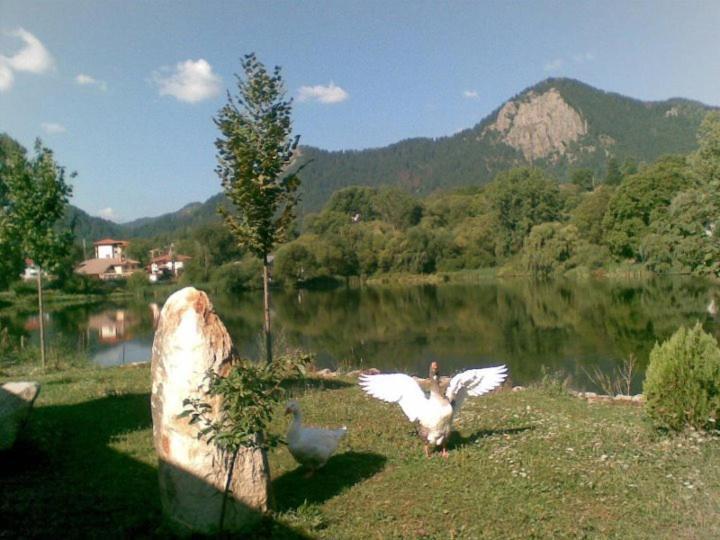 Ribkata Family Hotel Smolyan Exterior photo